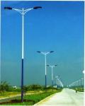 30 Years Lifetime Street Light Poles with Painting Appearance Treatment within