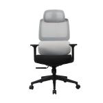 ANSI Lumbar Support Chair Headrest Armrest Adjustable Swivel Office Chair