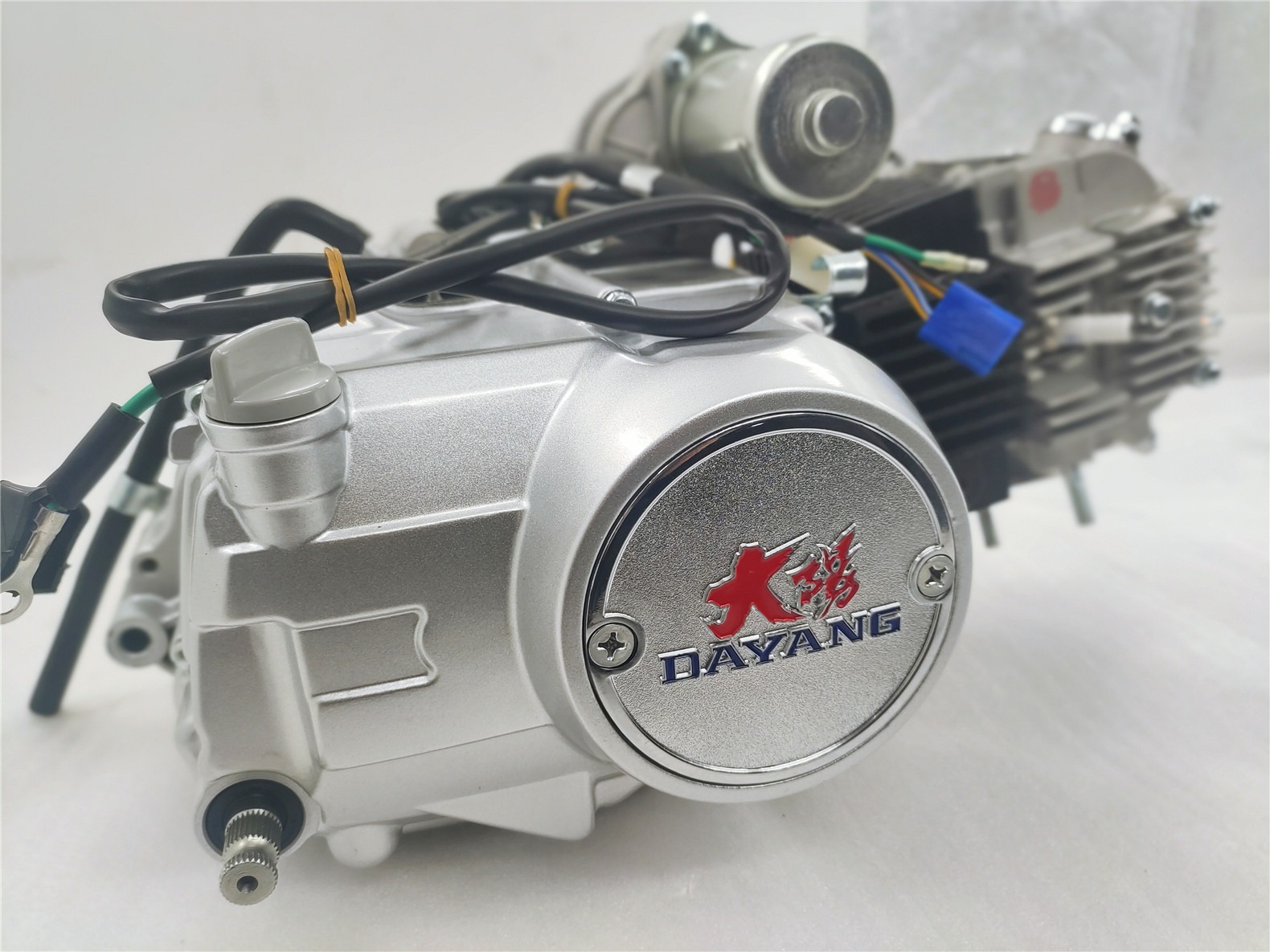 Electric Start DAYANG 125CC Nature Water-cooled Engine Motorcycle Three Wheel Cargo Tricycle Assembly