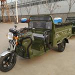 Adult Three Wheel 60v 650w Loading Tricycle Rickshaw