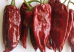 Single Herb Yidu Chilli 12000 SHU Chinese Dried Red Chili Peppers