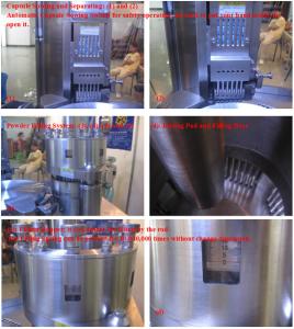 Wholesale Pharmaceutical Filling Equipment Large Capsule Filling Machine 210000 Capsules / H from china suppliers