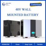 LiFePO4 Lithium Battery Household Solar Energy Storage Battery Deep Cycle OEM