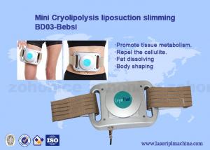 Wholesale Mini Home Use Beauty Device Cryolipolysis Freeze Fat Pads Machine Cryotherapy Machine from china suppliers