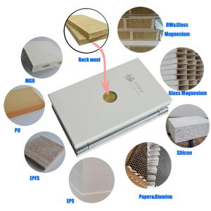 Wholesale Customized Cleanroom Wall Panels Construction Cleanroom Wall Systems 50mm 75mm from china suppliers