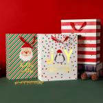 Custom Christmas Style Gift Packaging Card Paper Shopping Bag Logo and