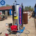 0.8t 0.8ton 800kg Steam Output 7 Bar Diesel Oil Or Natural Gas Fired Mini Steam