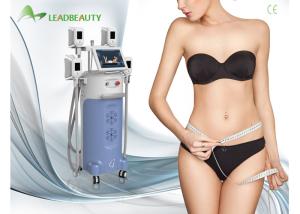 Wholesale Professional Cryolipolysis Slimming Fat Loss Machines For Women Cellulite Reduction from china suppliers