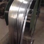 321 2507 ASTM Stainless Steel Strip 201 301 309S 310S 317 317L 1000mm