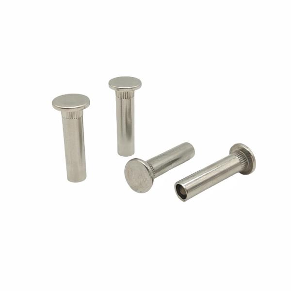 Non-Standard Custom Flat Head Semi-Hollow Rivet Stainless Steel Flower-Toothed