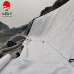 Road 400g 600g Reinforced Geotextile Fabric with 100% Pet pp Needle Punched Non