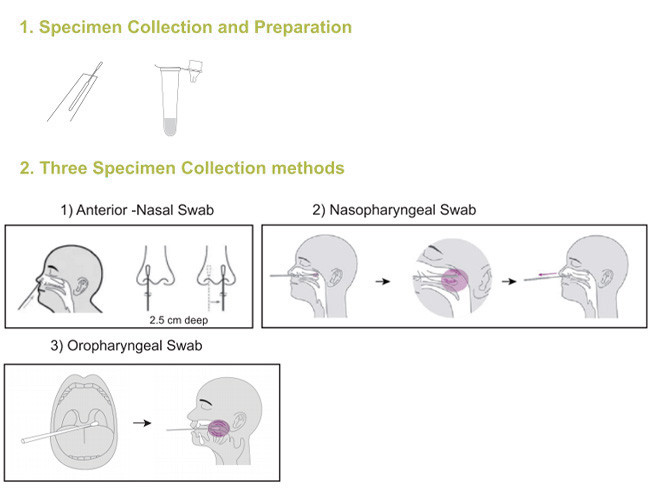 SARS-CoV-2 Antigen Swab Test Kit 10 Tests/Kit CE Accuracy 99.68% Professional Test