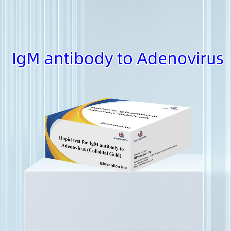 Accurate IgM Antibody To Adeno Virus Test Kit For Clinical And Laboratory Cassette Strip