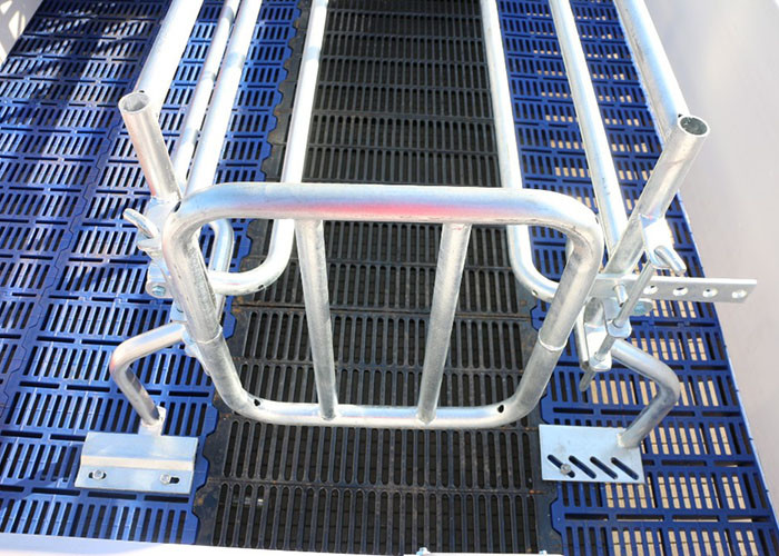 OEM ODM 304 Stainless Steel Farrowing Crates Swine Gestation Crates