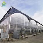 Tropical Climate Poly Tunnel Multi Span Sawtooth Agricultural Film Greenhouse