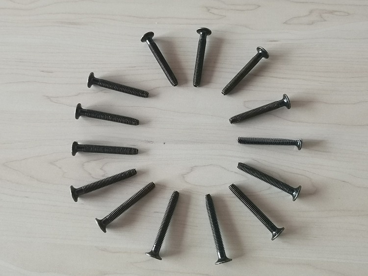 M6x45 M6x55 M6x65 Container Floor Screws for Shipping Container Made of Carbon Steel