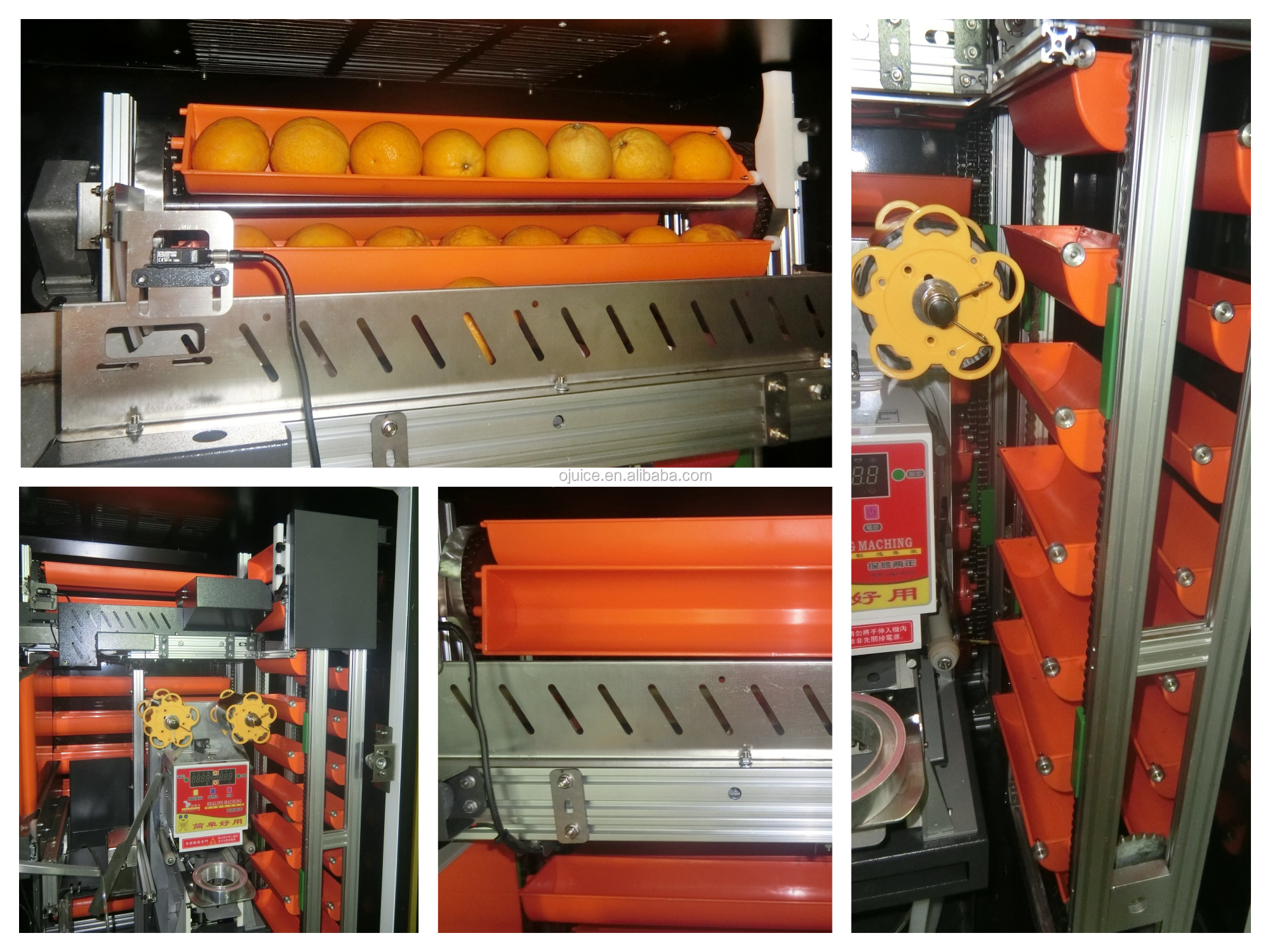 Automatic Professional Orange Juicer Machine For Supermarket Mall School