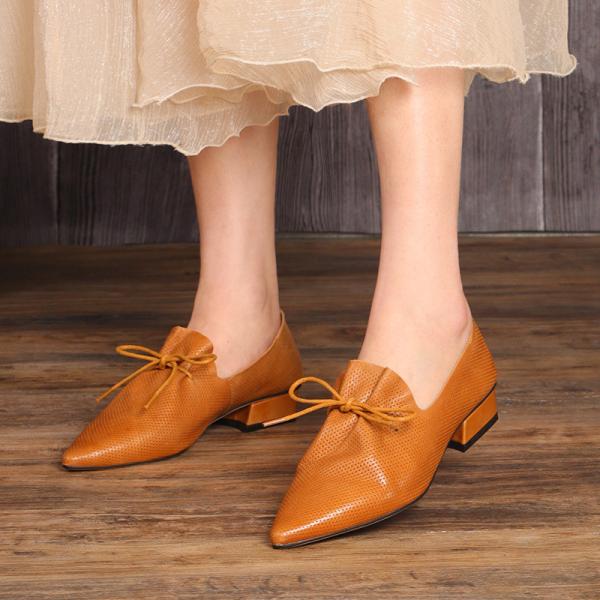 HZM049 Single Shoes Women'S Spring New Thick Heel Pointed Literary Single Shoes