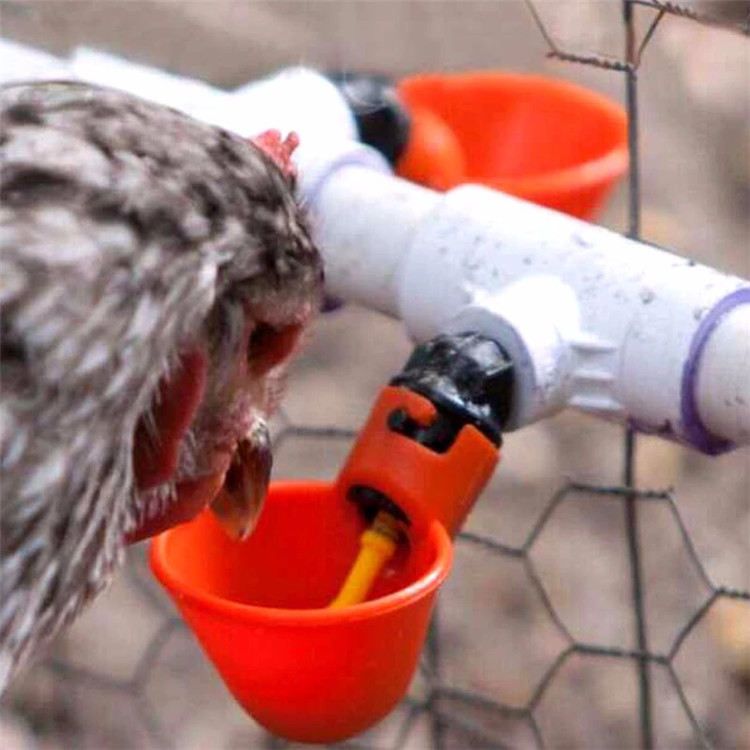 Plastic Drinking Nipples 80mm Chicken Waterer Cups