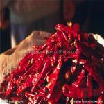 Red Spicy Yidu Chili Authentic Taste Rich Flavour 15cm