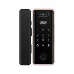 G5S Face Recognition Fingerprint Card Passcode Electronic Glass Door Lock for