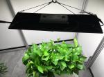 ETL Quantum Led Grow Lights