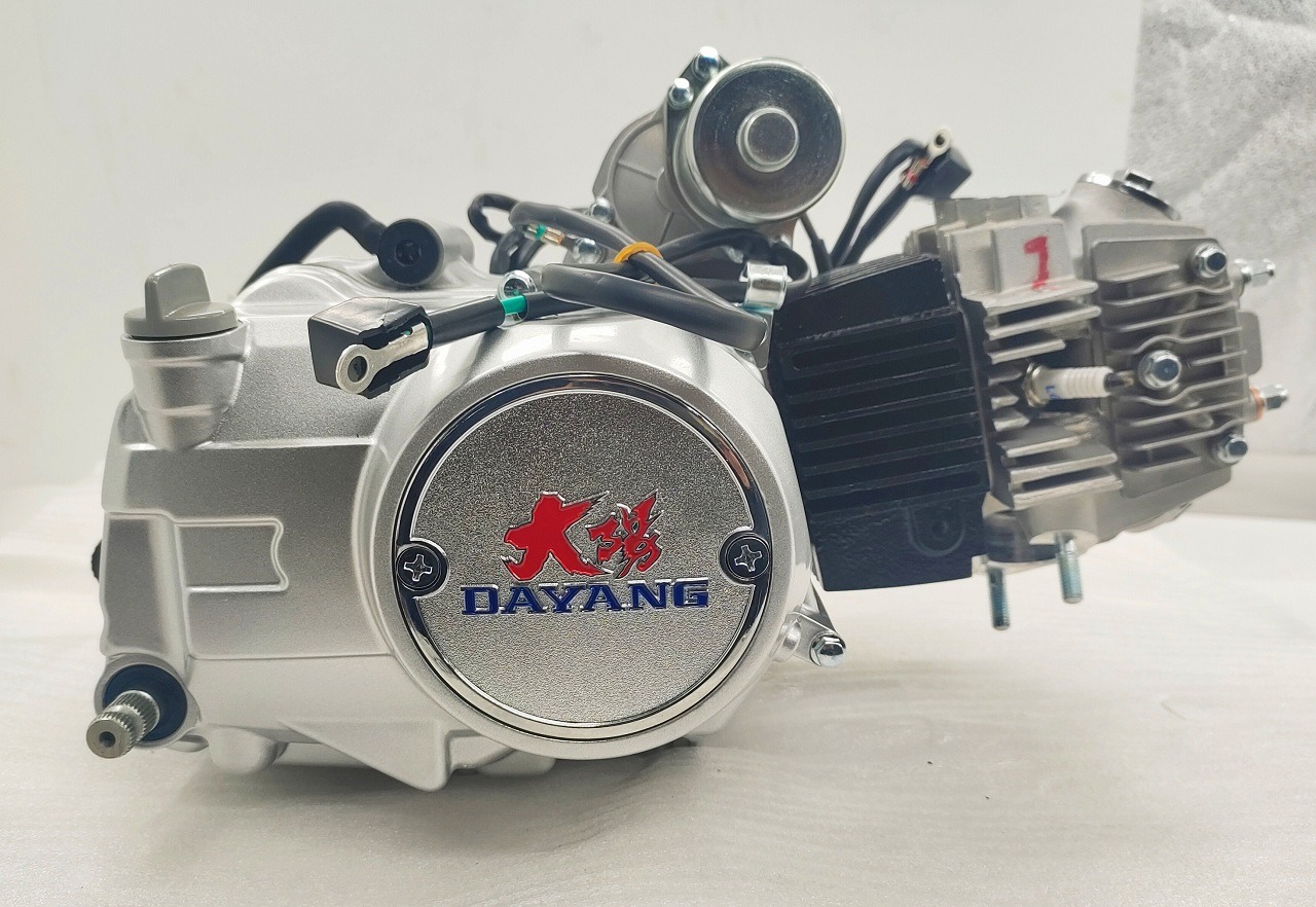 Origin CCC 110CC DAYANG Complete Motorcycle with Ignition and Nature Cylinder Style
