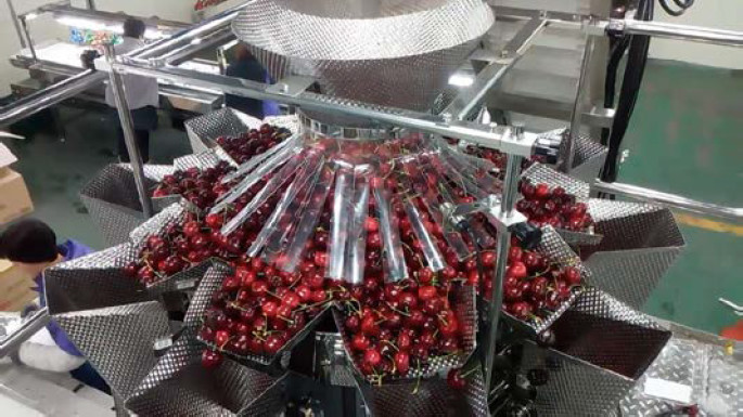 Vegetables Fruits Salad Plastic Container Packaging Machine