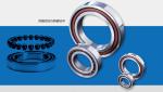 Customizable Industrial Ceramic Parts Ceramic Bearings