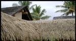100% Simulation Degree Thatch Roof Tile for Construction Material Global Sales