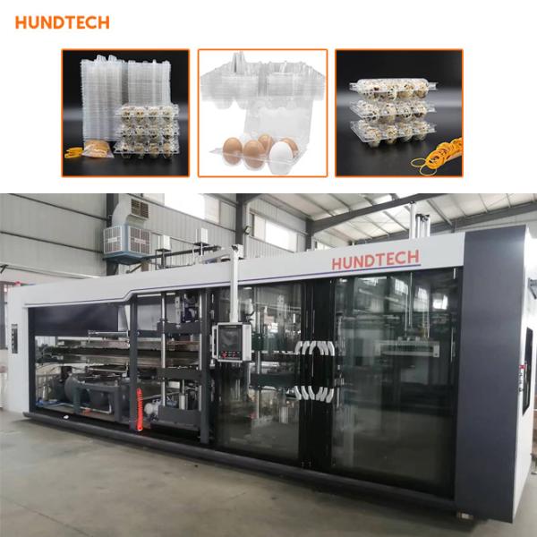 1.5mm Thickness Tray Forming Equipment Egg Container With Lid Thermoforming