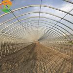 Easy Installation High Tunnel Agriculture Greenhouse for Small Farms Single