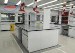Floor Mounted Structure Steel Made Laboratory Workstation For Instrument Rooms