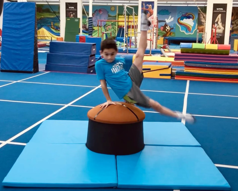 Gymnastics Training Equipment Olympia Pommel Trainer Elite For For Advanced Training