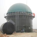 Green Color Dual Membrane Biogas Dome Gas Holder Anti Corrosion Shockproof