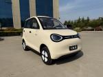 Linglong 3000WD/5000WD New Five-Door Four-Seat Four-Wheeled Electric Vehicle