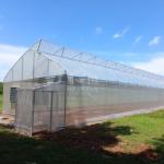 Cheap Good Price Plastic Film Tropical Tunnel House Single-Span Sawtooth Top