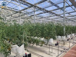 Wholesale Greenhouse Steel Substrate Planting Gutter Agricultural Hydroponic System For Tomatoes from china suppliers
