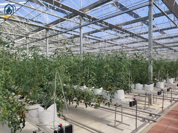 Greenhouse Steel Substrate Planting Gutter Agricultural Hydroponic System For