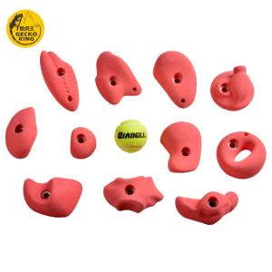 Wholesale GeckoKing Set of 11 Polyurethane Climbing Holds for Adult Rock Walls Durable and Materials from china suppliers