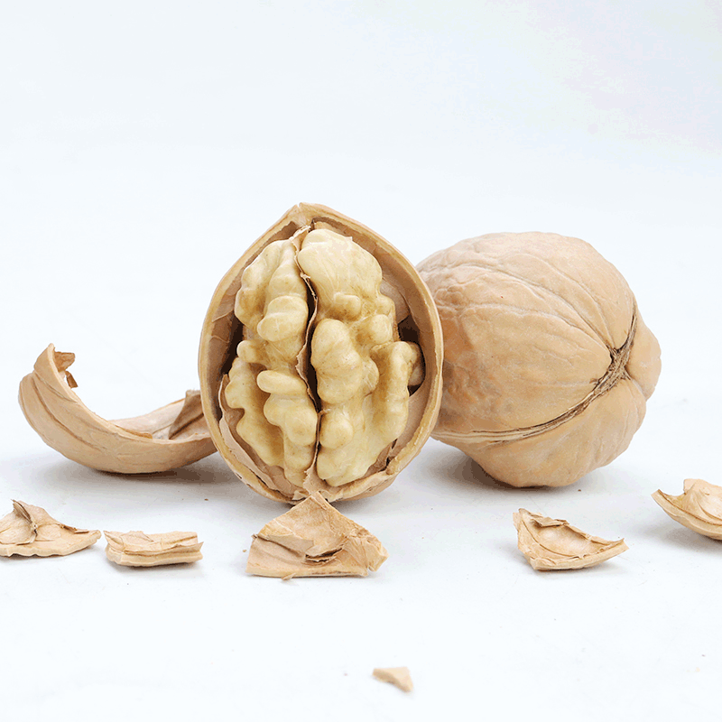 Chinese Factory bulk sale high-quality Xinjiang big walnuts in shelled and dried fruits and nuts