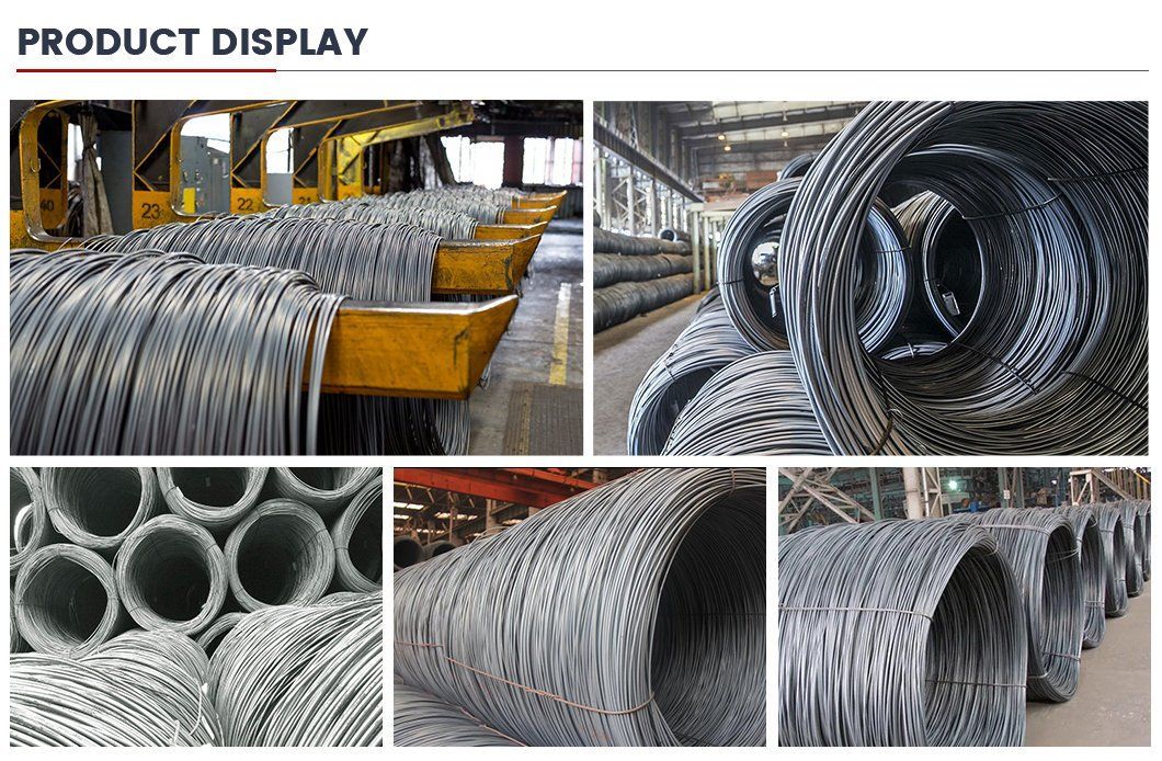 SAE1008/Q195 Ms Low Carbon Steel Wire Rod, Nail Making Wire, 5.5mm 6.5mm 8mm Wire Price High Quantity Hot Rolled Steel Wire