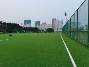 Wholesale Professional Football Artificial Grass Sports Flooring For Soccer from china suppliers