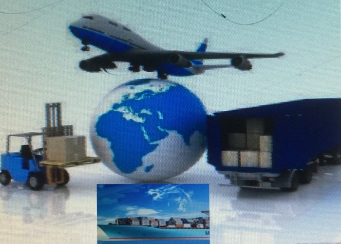 6mm Two-way Articulation Portable endoscope for military and industrial field Double layer mesh weaving lenght 2M