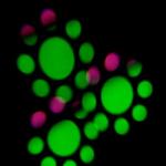Rgb LED Moving Head Light 7 Colors Rainbow Disco Gobo Rotating