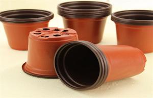 Wholesale Multicolor Outdoor Indoor Decorative Flower Plant Pot Small Drain Holes from china suppliers