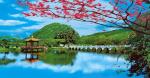 PLASTIC LENTICULAR Promotional gift 3d lenticular printed plastic pictures with
