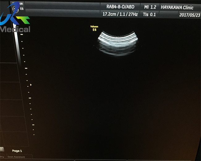 GE RAB4-8-D Wideband Curved Transducer Convex Array Ultrasound Probe Medical Scanner