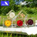 Phenolic Epoxy Resin Kit Coating Gloss Countertops DIY