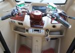 1500W EEC/COC Certificate 3 Wheel Cabin Trike OEM Color ABS Hnad Brake